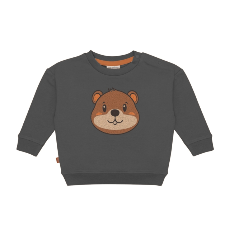 Sweater Beaver
